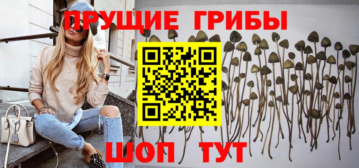 купить наркоту  Вход с VPN  Зима  Галлюциногенные грибы ЛСД 